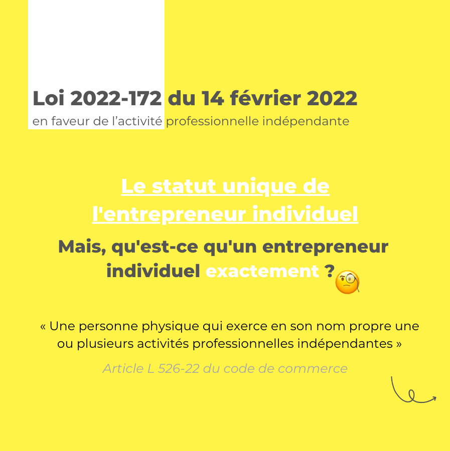 Zoom sur la réforme des indépendants capture 2