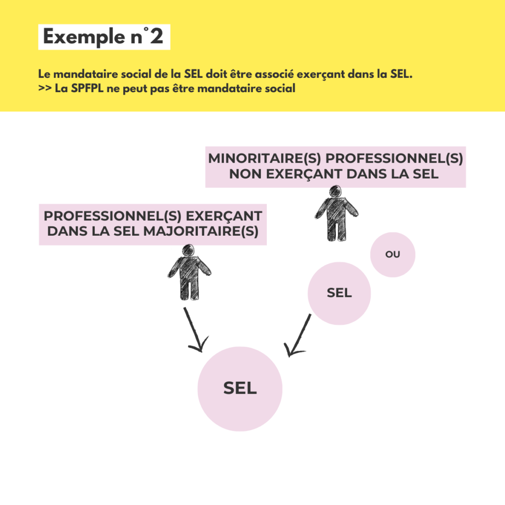 Les nouvelles sociétés de professions juridiques et judiciaires vont-elles pouvoir être dirigées par n'importe qui ? capture 3