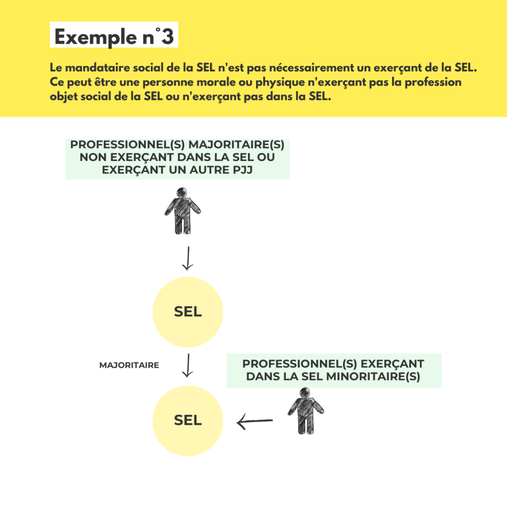 Les nouvelles sociétés de professions juridiques et judiciaires vont-elles pouvoir être dirigées par n'importe qui ? capture 4